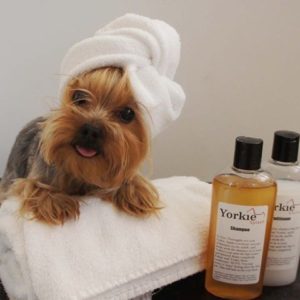 šampóny pre psov